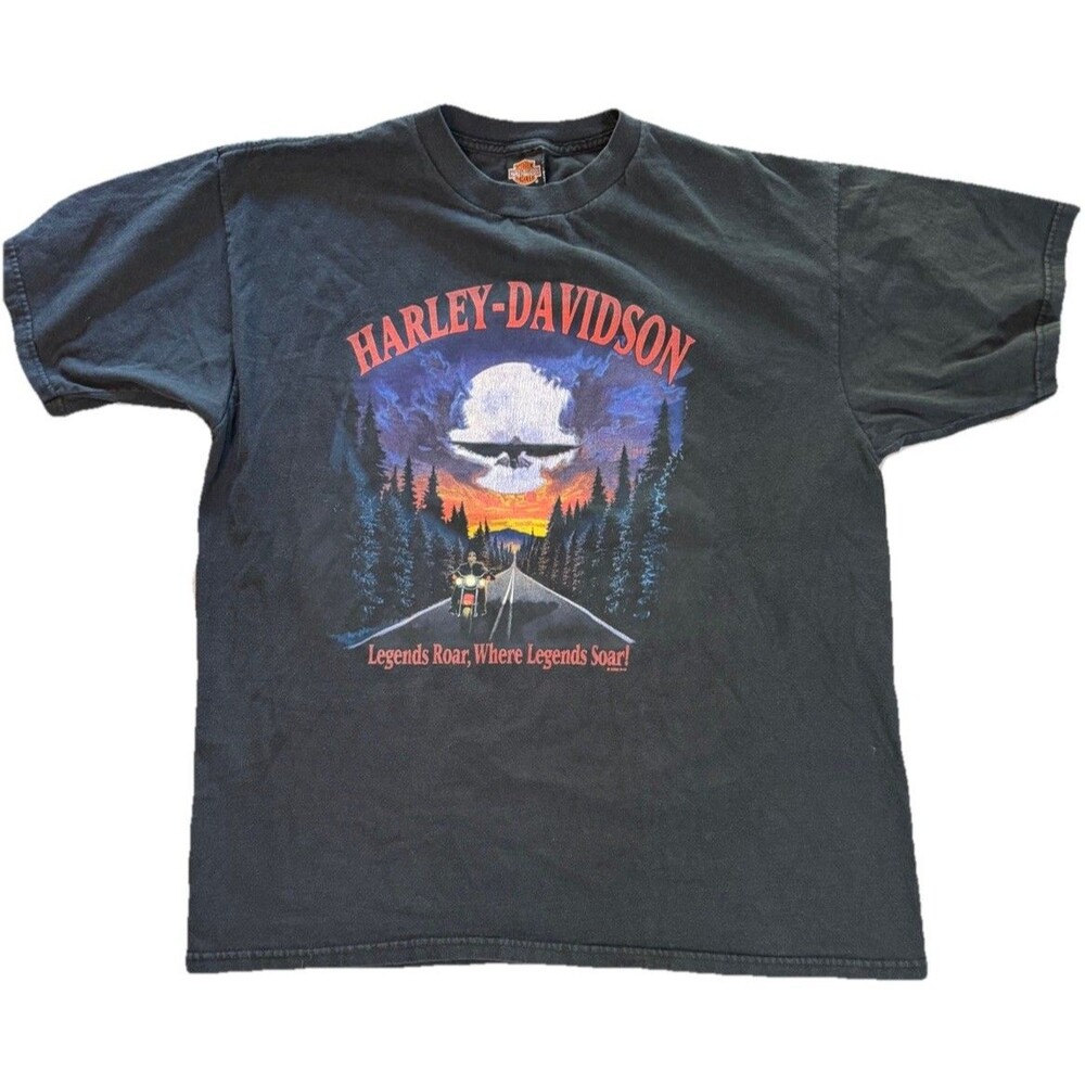 Vintage 2002 Harley Davidson Olympia WA Eagle Skull Graphic T Shirt Mens XL